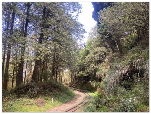 大塔山 (小百岳最高峰)2773177