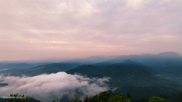 翡翠水庫壩頂 #火燒雲雲海 #日出雲海 #鱷魚島 #藍腹鷴 4/292773788