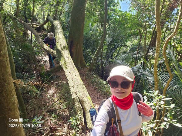 20251229石龜坑山上白石山下白石埤O走+阿姆坪2976673