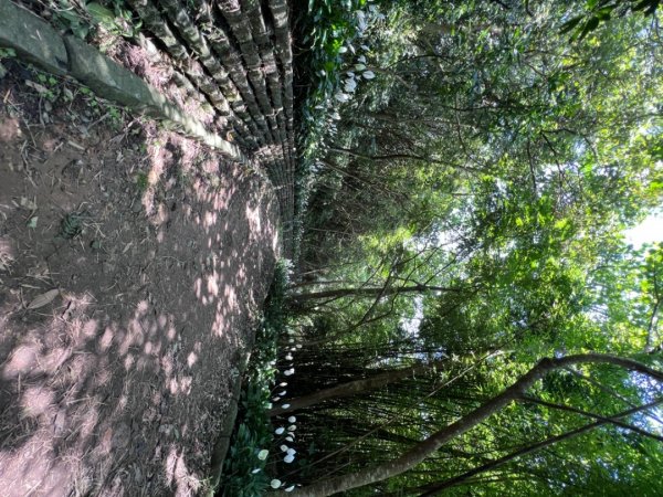 二訪硬漢嶺1745786