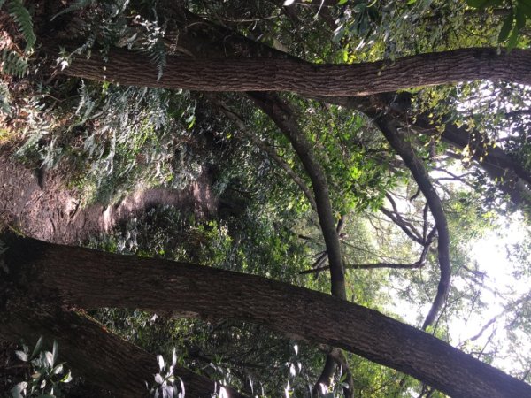 五酒桶山、南崁山2693319