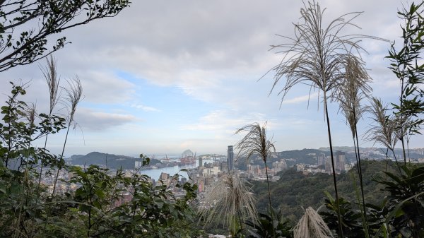 114.12.20劉銘傳隧道-獅球嶺北峰-獅球嶺東砲台山-獅球嶺池-獅球嶺砲台山之旅2966754