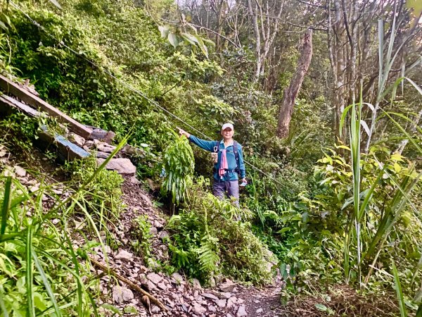 金牌兄弟療癒之旅 一日單攻北大武山2833968