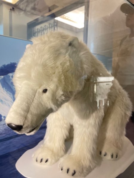 雨天備案💙 台灣博物館的古生代館-台大動植物館免費參觀-北投♨️季2799023