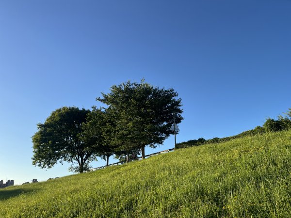 [2025臺北健走趣-02/49] 2025_0630_古亭河濱公園2825341