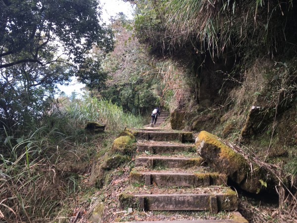 鄒族心目中的聖山大塔山255930