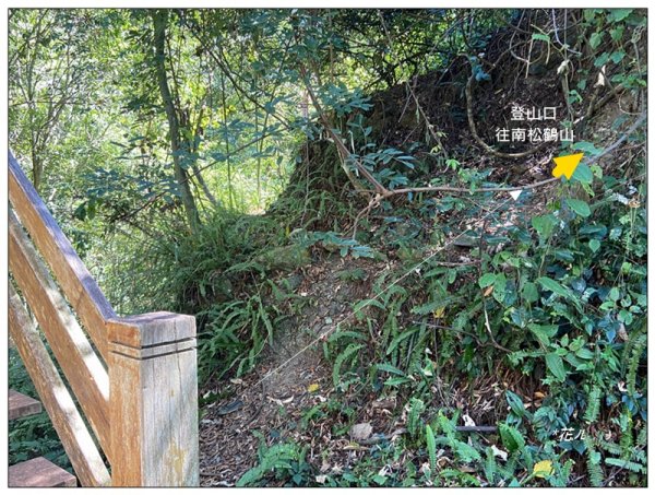 南松鶴山～八仙山 (台中 和平)2926075