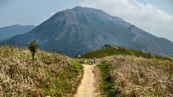 【海外健行】香港四徑 The Four Trails3031655