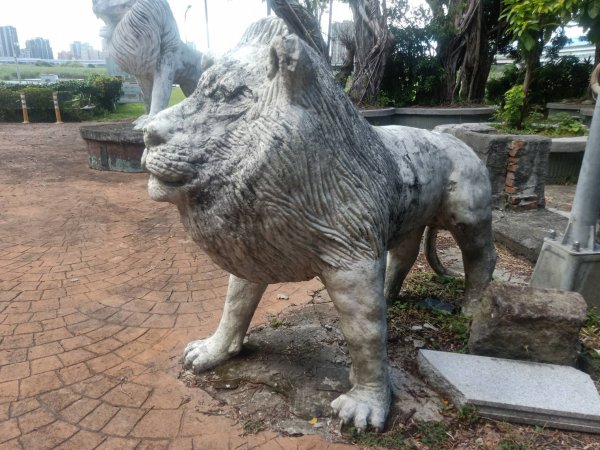 龍山河濱公園、大安森林公園、大港墘公園、花博公園圓山園區【走路趣尋寶】【臺北健走趣】2591698