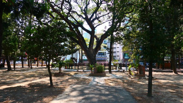 台南成大等3002047