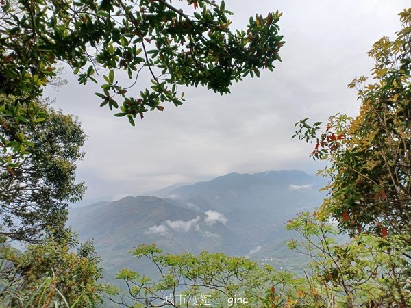 【苗栗大湖】山頂展望佳等到雲海。 馬那邦山登山步道2806788