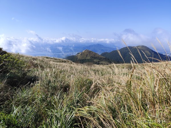 【臺北大縱走 2】【第二回合全程完成證書】鞍部→大屯山步道→大屯山主峰→大屯坪步道→二子坪步道2960376
