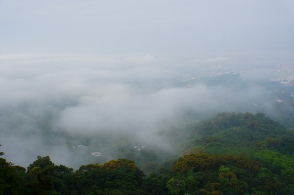 臺中 新社 頭嵙山、黑山、石苓湖山3047653