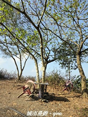 【屏東來義】小百岳棚集山x棚集下山O 繞3013082
