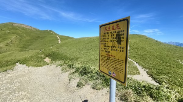合歡山北峰 小溪營地 鷹角石 合歡北峰名樹2903407