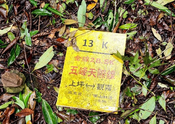 【中級山】有一種美，令人不想回家，新竹鵝公髻山2744660