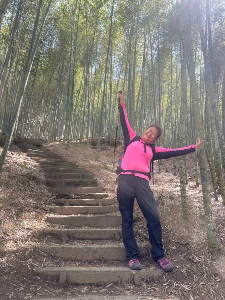 嘉南雲峰、九穹神木3014480