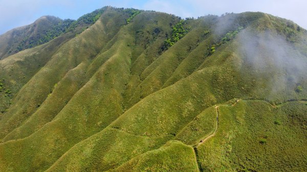 抹茶山1671148