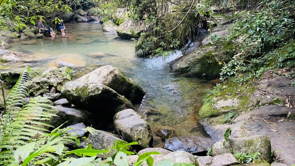 新竹內灣|馬胎古道|平易近人的幽靜森林伴清涼溪水的涼爽古道1735307