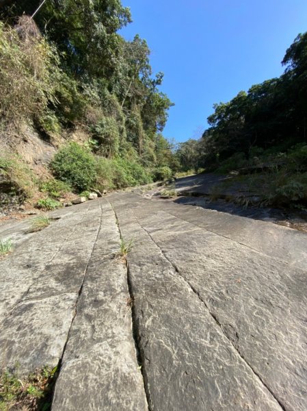 南庄加里山大坪大湳山麓2034100