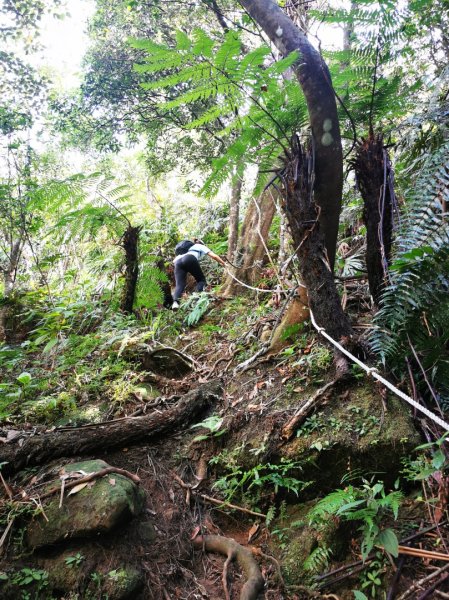 九華山福德宮-平溪子山-台和煤礦-北43鄉道-106縣道2907767