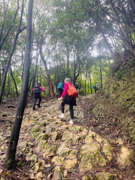 1131225新山夢湖2676510