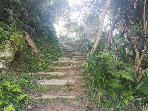 土城清水大尖山/朱財華紀念步道834012