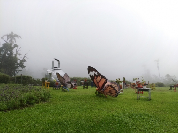 仁山植物園72069