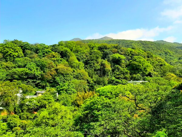 走遍陽明山：人車分道系統｜環七星山人車分道2093237