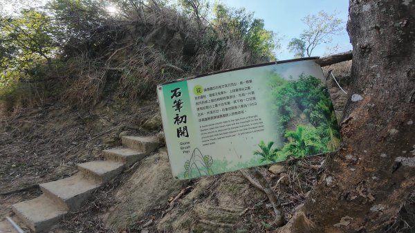 高雄 大社觀音山2960470