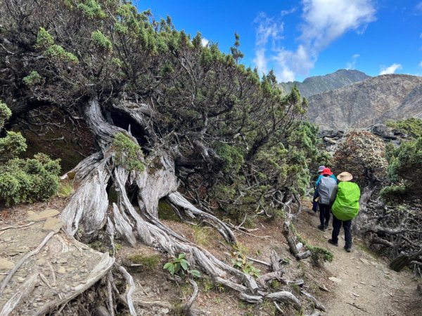 是不是有南字的山特別難成行南湖大山1875280