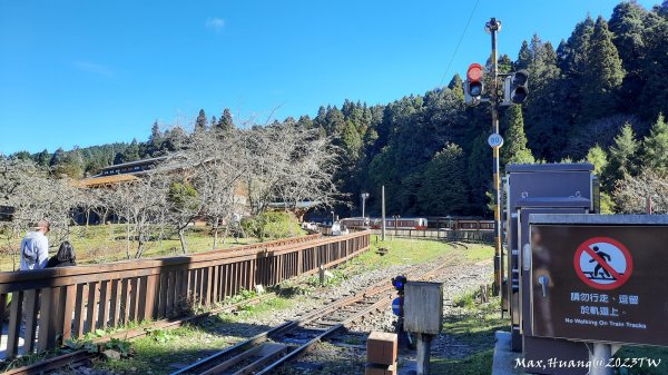 《嘉義》森鐵雲海｜阿里山祝山觀日步道對高岳車站202312292388826