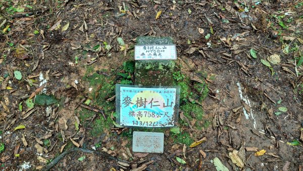 新竹內灣麥樹仁山五連峰2763840