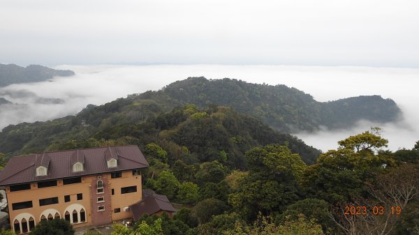 司馬限林道首登東洗水山&薑麻園雲洞山莊2078573