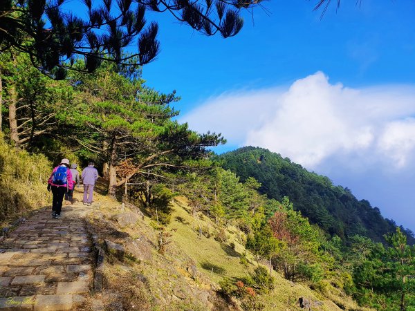 【塔塔加六山】眺望玉山最美稜線1235079