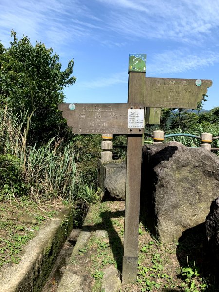 210430-臺北大縱走第四段：風櫃口至捷運大湖公園站1371296