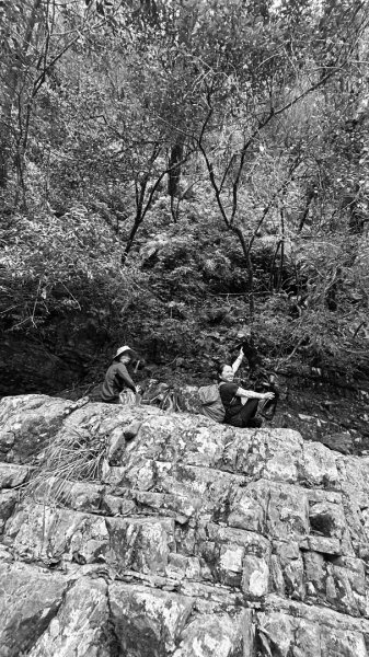 芃芃山西北稜大內台2693960