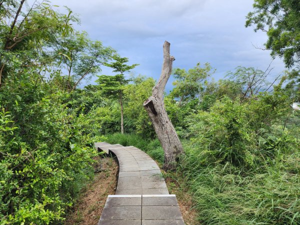 台東鯉魚山2638609