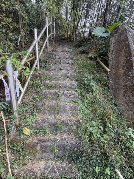 20251122大湖尖山步道(啟登直上第三涼亭)2944523