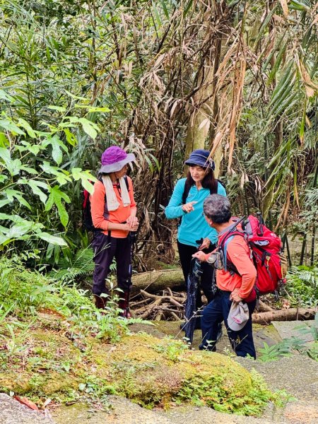 南港山(小百岳#13)/中華科技大學南港山來回2938269