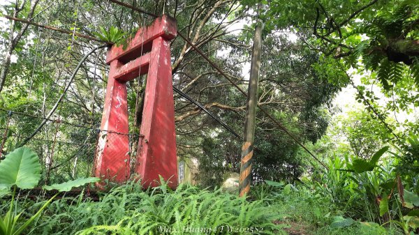 《台中》優美稜線｜橫嶺山自然步道（大雪山社區南登山口）202505312800261