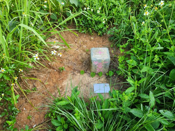 20250921學田山王田山大肚山大尖山竹坑山2928472