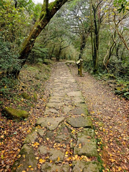 2025臺北大縱走第三段：小油坑至風櫃口2973460