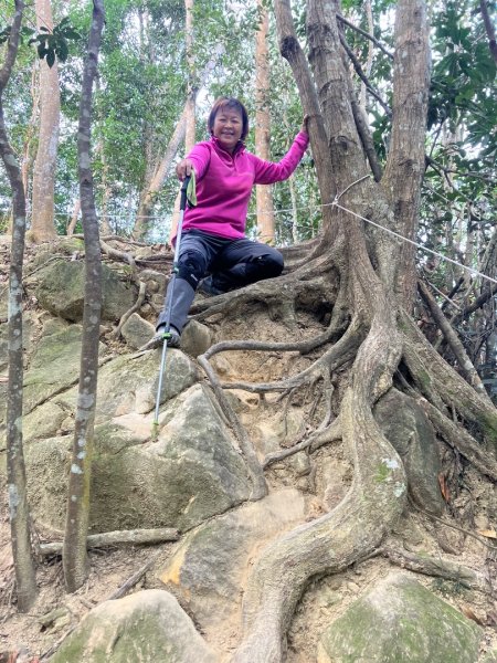苗栗金童山、玉女山、汶水山2672921