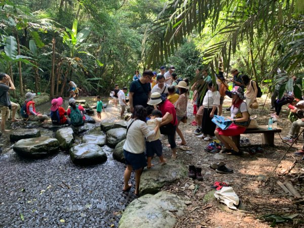 惠蓀林場渉水步道與山嵐小徑1043095