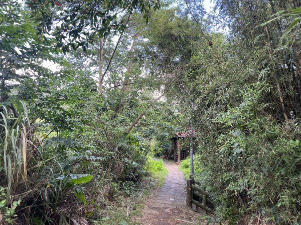 2024_1020 貴子坑親山步道2634245