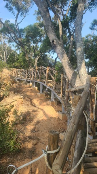 2026-0118新竹新埔文山步道2984635