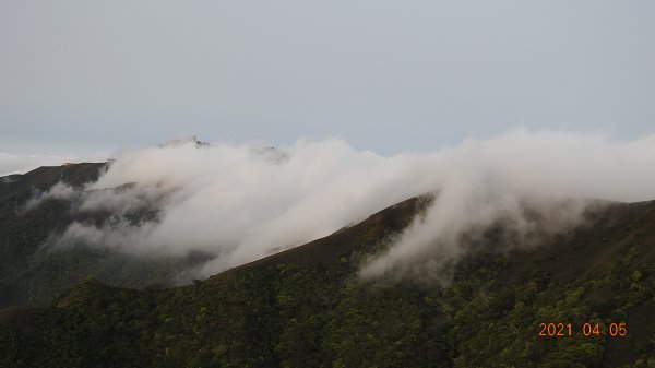 0405陽明山再見雲瀑，今年以來最滿意的一次1335455