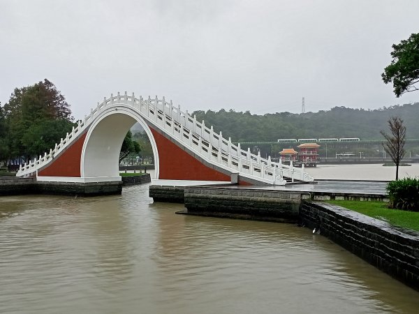 大湖公園 (防災公園)【走路趣尋寶，全臺齊步走】1895267