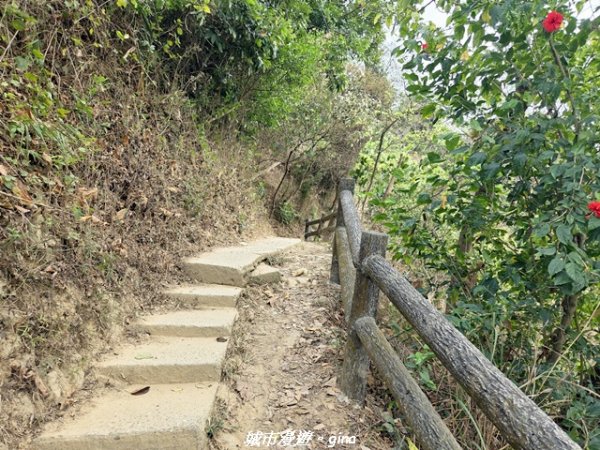 【高雄大社】小百岳大社觀音山步道3013123